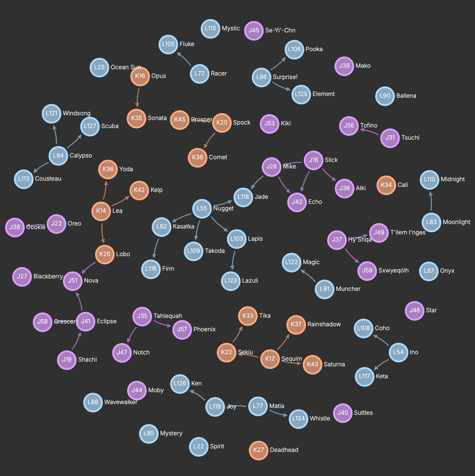 Graph screen shot.